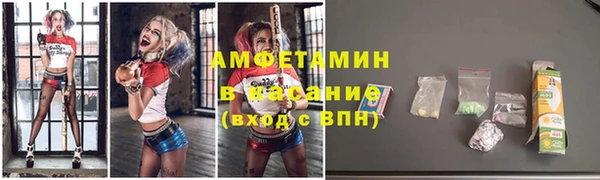 стафф Алзамай