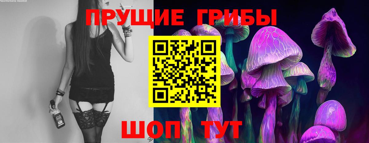 Псилоцибиновые грибы мицелий  Вход с VPN  Псилоцибиновые грибы ЛСД  Каменск-Уральский 